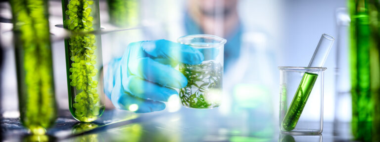Photobioreactor In Medical Science Laboratory Algae Fuel Biofuel Industry, Nature Algal Research, Energy And Healthcare Treatment Biotechnology, Coronavirus Covid 19 Vaccine, Eco Living Sustainable"t