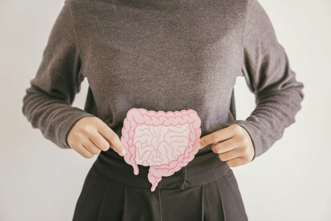 Alimentos fermentados para mejorar la microbiota intestinal
