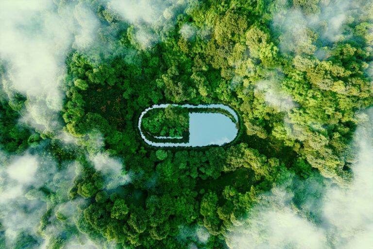 A Pill Shaped Water Surface In The Middle Of Lush Nature Serving As A Metaphor For Alternative Healing And Nature Based Medicines. 3d Rendering.